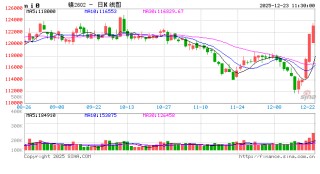 华泰期货：昨日沪镍大幅反弹，持续性尚待验证