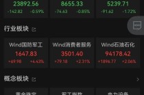 黄金股，大涨！