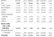 近半收入依赖单一车企，泽景电子陷入亏损泥潭