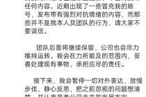 陈震发文称停更反思，因偷税追缴并罚款超247万元