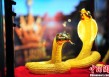如何理解黄金价格的波动并进行科学的投资规划这种投资规划如何应对价格变化？