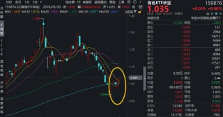 中东最大铝厂遇袭！铝业龙头领衔飙升，天山铝业涨停！华宝基金有色ETF（159876）逆市涨近1%