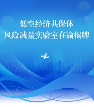 低空经济共保体风险减量实验室在渝揭牌