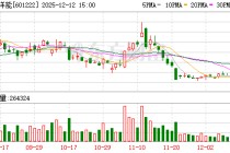 林洋能源：已形成以智能电表、储能系统、新能源技术为主线的专利池与技术储备