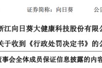 发股收购存误导性陈述，向日葵及董事长、董秘被罚510万