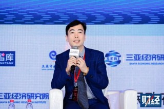 海南大学陈波：与新加披相比，海南自贸港在融合方面优势巨大