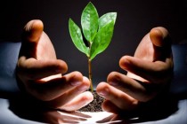 重疾险保费该如何合理分摊？