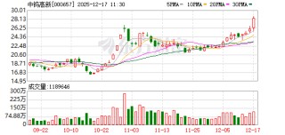 中钨高新涨3.80%，股价创历史新高