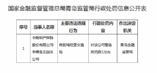 中路财险中德生态园支公司被罚款3万：跨区域经营交强险