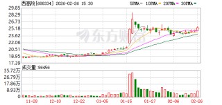 西高院：2025年净利润同比增长8.77%