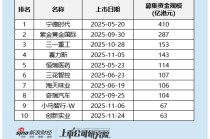 2025年港股前十大IPO榜单：宁德时代410亿港元夺魁 紫金黄金国际借行情募资287亿紧随其后