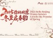 中外宾朋共聚首 冬至为媒促交流  2025“你好，北京”冬至启春韵活动成功举办