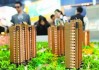 为什么要买新股？买新股有什么风险和机遇？