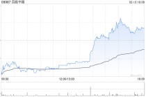 百胜中国授出股权激励及以股权形式授予董事任职报酬
