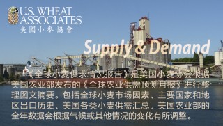 全球小麦供求情况报告 - 2025年6月