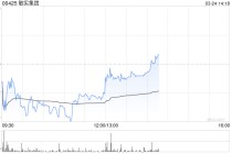 瑞银：降敏实集团目标价至42.6港元 评级“买入”