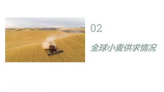全球小麦供求情况报告 - 2025年6月