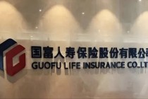 新董事长落定，国富人寿还有哪些问题待解？