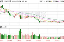 华宝新能：2026年1月12日召开2026年第一次临时股东会