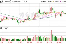 中辰股份：截至2026年2月10日公司持股户数为23310户