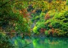 绿色电容的特性有哪些？这些特性在电子设备中的应用如何？
