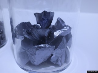 “多晶硅平台公司”股东名单披露，这两家公司合计持股近50%