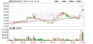 百合花龙虎榜数据（11月5日）