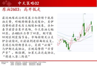 中天期货:商品指数小回调 原油高开低走