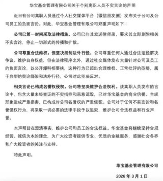 前员工实名控诉，“指数一姐”胡洁离场，高管洗牌，华宝基金正滑向平庸的边缘？