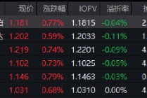 中东局势升级引爆避险情绪，红利低波ETF华泰柏瑞（512890）逆势走强半日成交6.28亿领跑