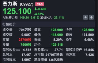 调整延续，恒指低开超250点 赛力斯上市破发