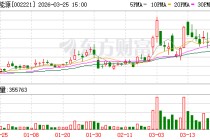 东华能源：董事会审议通过《关于子公司东华能源（宁波）新材料有限公司拟开展融资租赁业务的议案》等