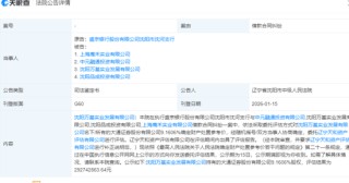 盛京银行退市之后，孙进抓紧追债