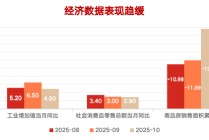 在确定的峰顶，眺望流动的云端⎜11月月度报告