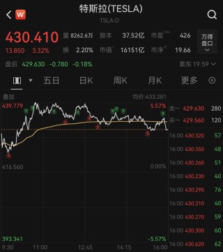 大涨！马斯克，突传大消息！重磅数据，首次曝光！