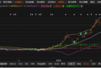 巨力索具互动易误导+传闻迟澄清遭监管通报批评，2025年12月17日起买入投资者可索赔！