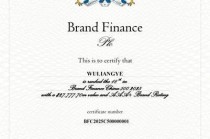 五粮液入围Brand Finance《2025年中国品牌价值500强》：品牌价值突破277亿美元 品牌强度稳居全球最高等级