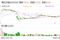 横店东磁：公司2024年海外收入占比约43.6%