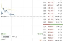 股价大幅跳水后，知名投顾公司九方智投控股启动1亿美元回购