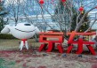 京东稳定币将在全球申请牌照