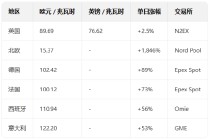 欧洲电力拍卖：北欧日前电价飙升 1846%