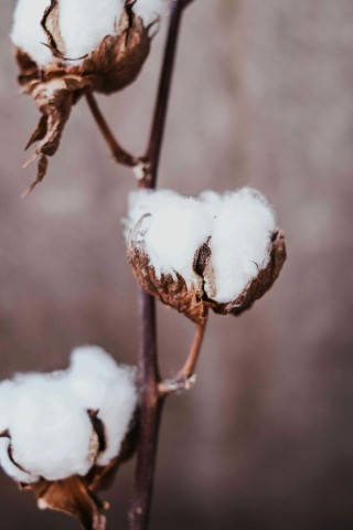 如何深入理解delta期权的特点？这些特点在投资中的应用如何？