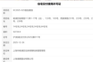 中建壹品上海首盘交付质量遭质疑
