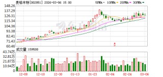 麦格米特：审计机构变更项目合伙人、签字注册会计师及项目质量控制复核人
