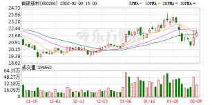 有研新材：2025年全年靶材业务收入增长超50%