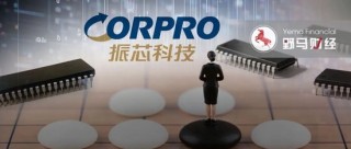 “美女富豪”从阶下囚到掌舵人，115亿振芯科技终归她手