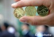 什么是投资比例？合理设置投资比例的方法有哪些？