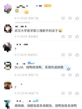 武汉一高校食堂称“烧鹅饭是广东俗称，食材为烤鸭”？广东多家烧鹅店：鸭是鸭鹅是鹅