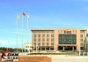 材的材质特点是什么？材的市场需求如何？