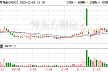 中央商场：公司目前无寻求战略合作伙伴或进行资产整合计划